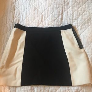 Zara Mod Skirt